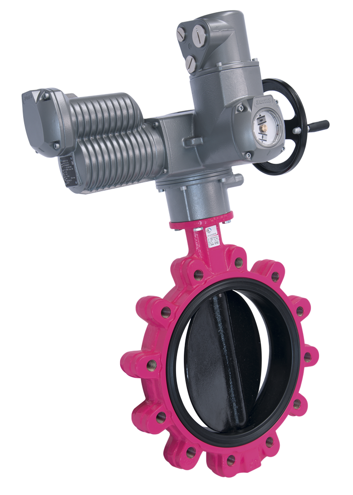 ASKIA<sup><small>®</sup></small> Serie 21 mit elektrischem Regelantrieb