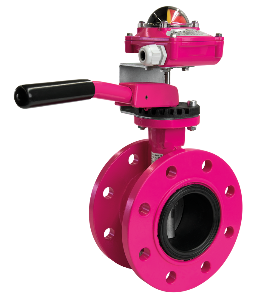 ASKIA<sup><small>®</sup></small> Serie 30 mit Handhebel, Rasterscheibe und Rückmeldeeinheit